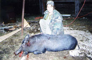 pig.jpg
