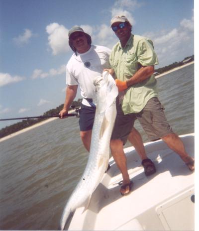 tarpon.jpg